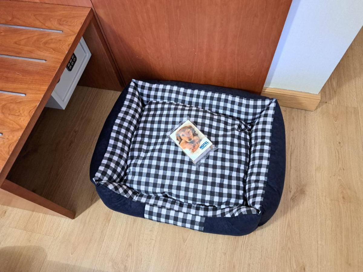 Andamur San Román Kültér fotó